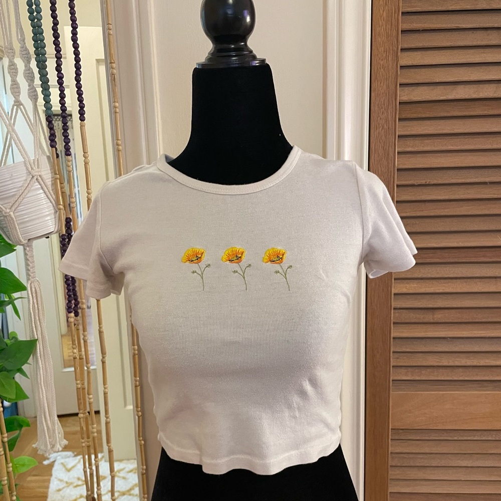 brandy melville crop top
